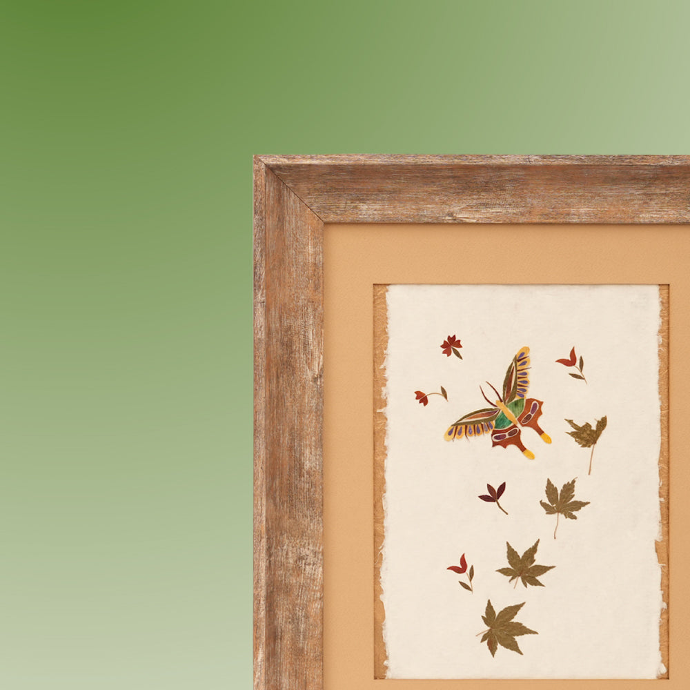 The Butterfly Series