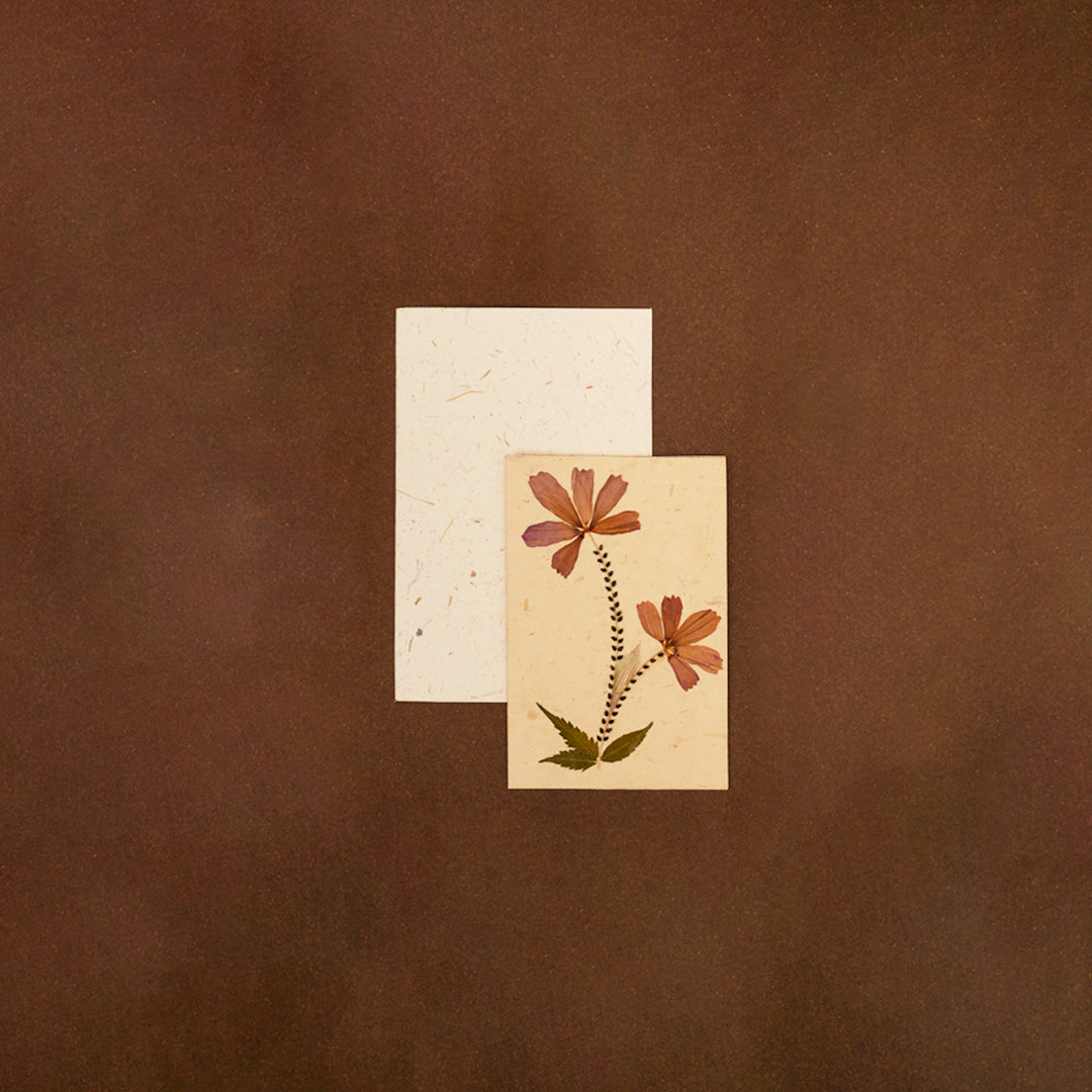 Double Cosmos Card Set