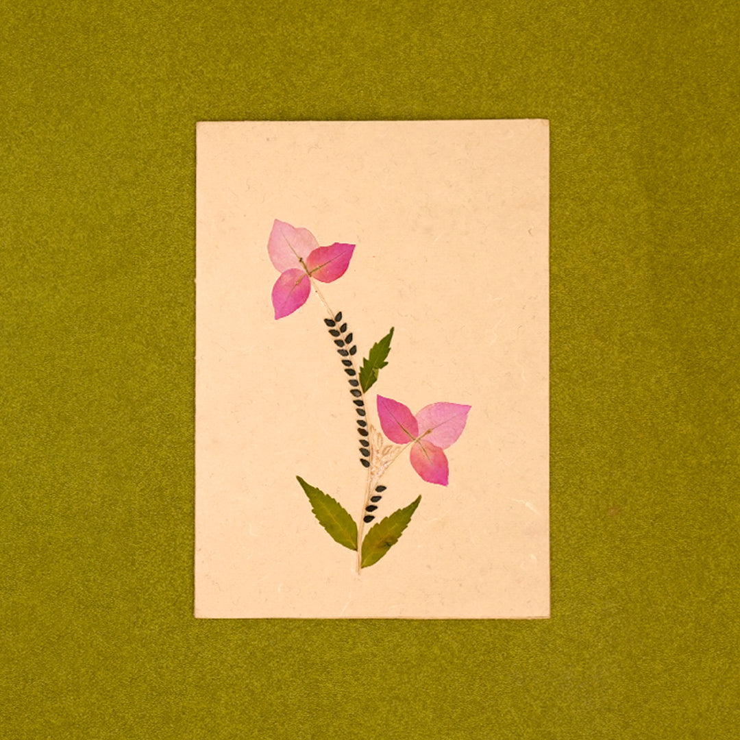 Bougainvillea Card