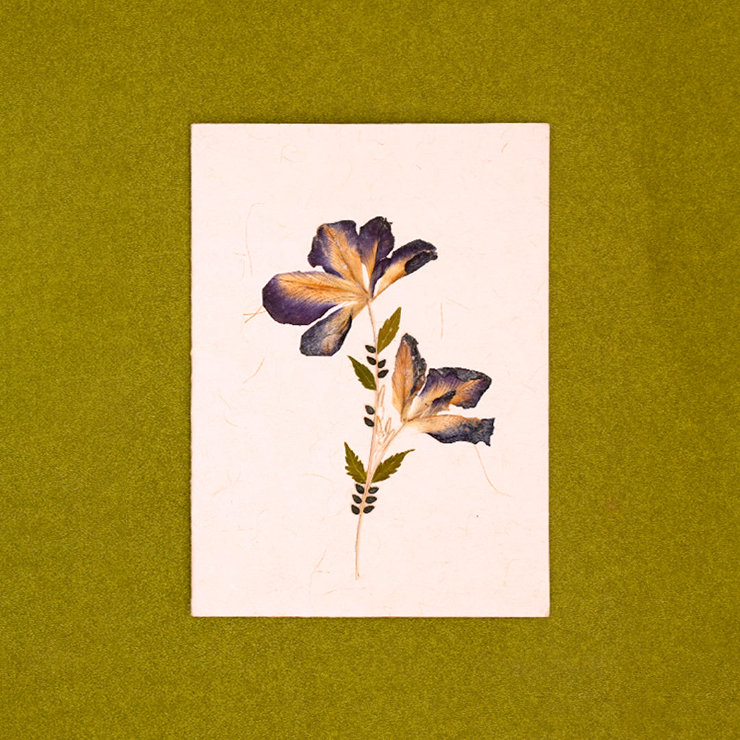 Aparajita Card with Envelope