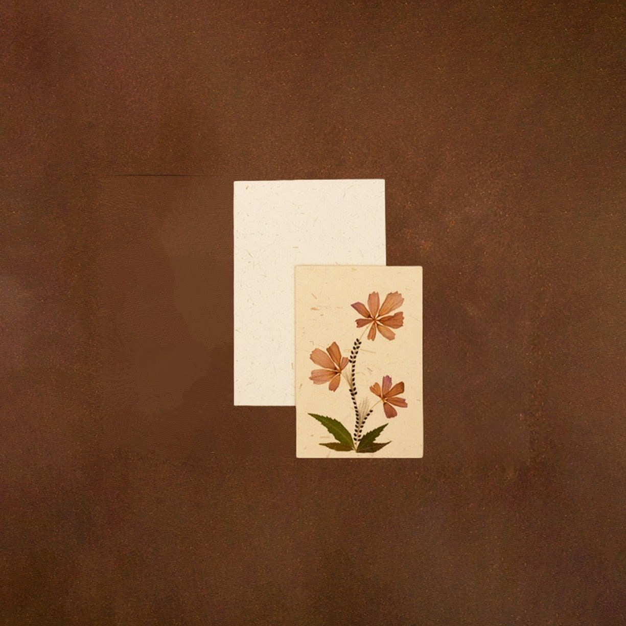 Triple Cosmos Card Set with Envelope