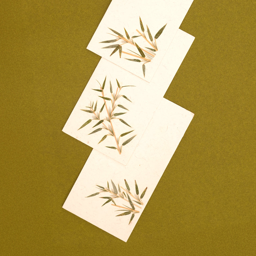 Bamboo Currency Envelopes - Set of 3