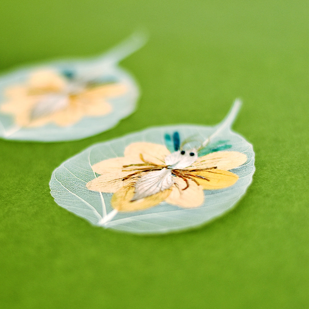 Wings of Butterfly Folium - Set of 2