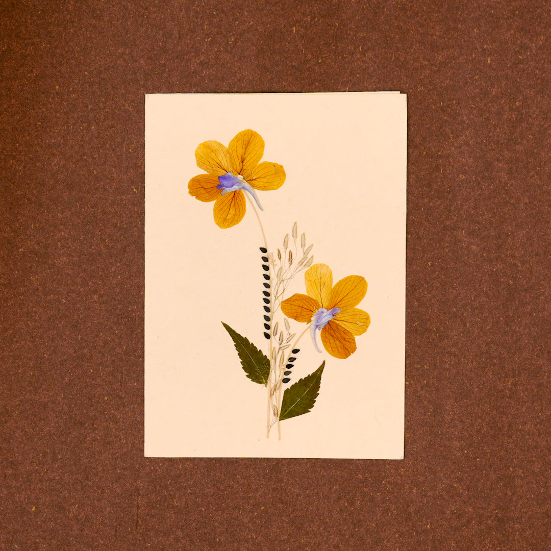 Sunflower Card with Envelope