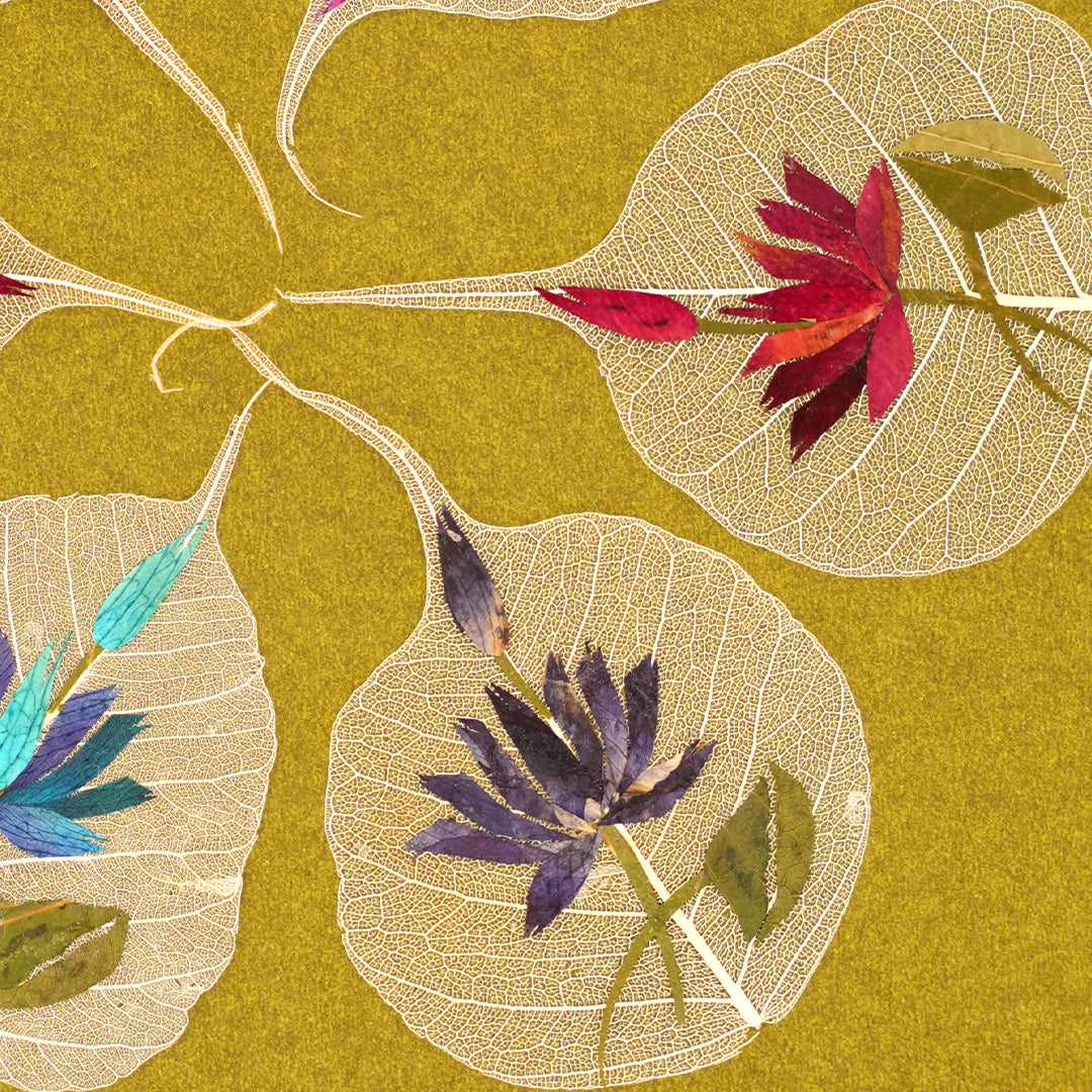 Sacred Fig Leaf – Lotus Series (Set of 6)