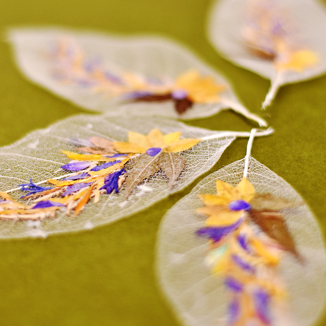 "Long leaf" Folium - Set of 2