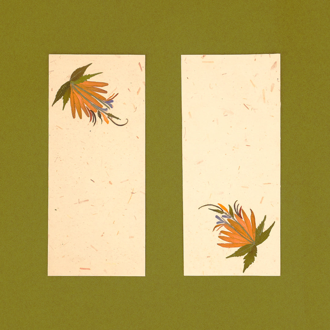 Zerbera Currency Envelope - Set of 2