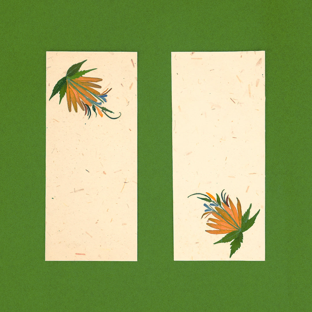 Zerbera Currency Envelope - Set of 2