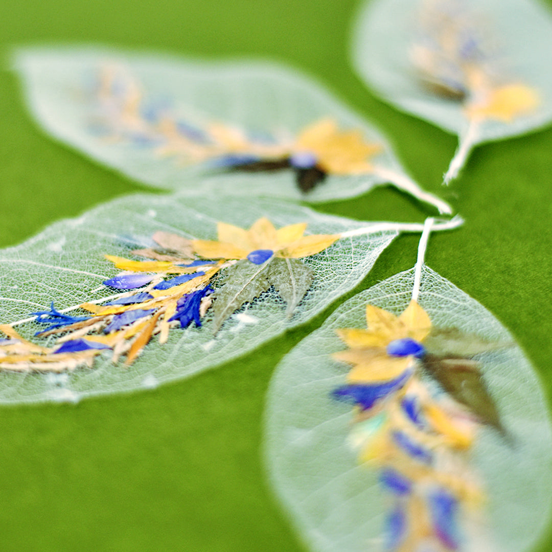 "Long leaf" Folium - Set of 2