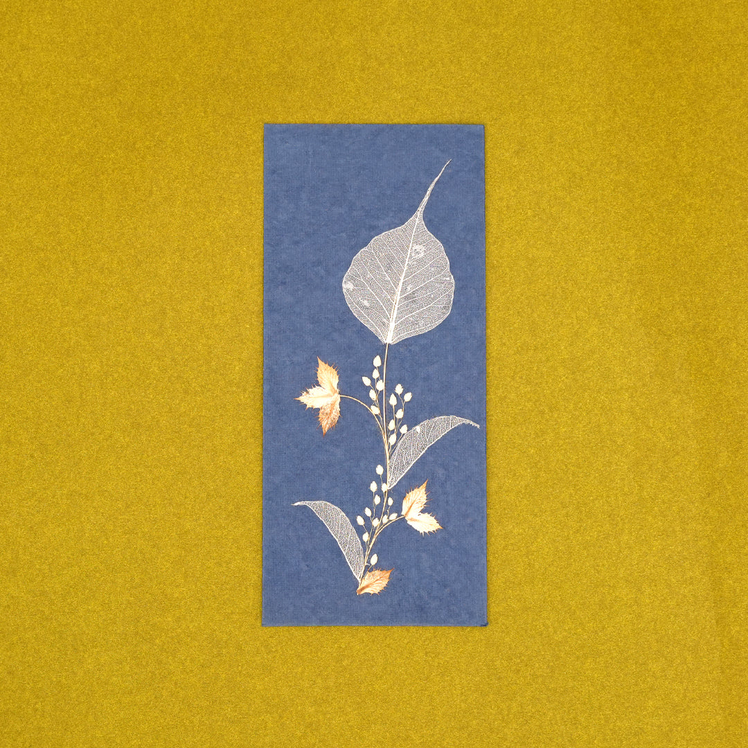 Folium Currency Envelopes - Set of 3