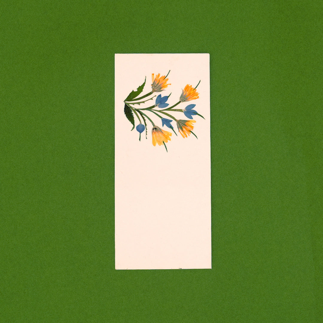 Calendula Currrency Envelopes - Set of 2