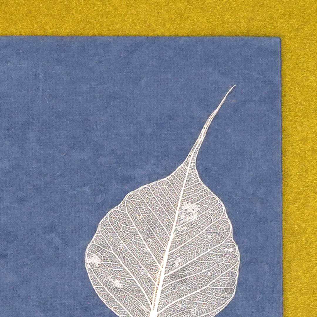 Folium Currency Envelopes - Set of 3