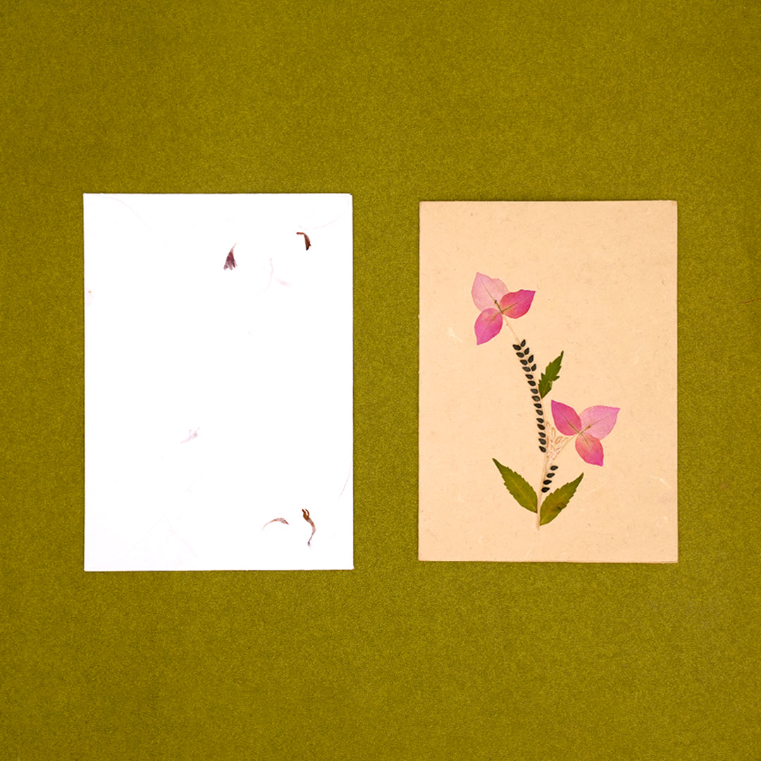 Bougainvillea Card