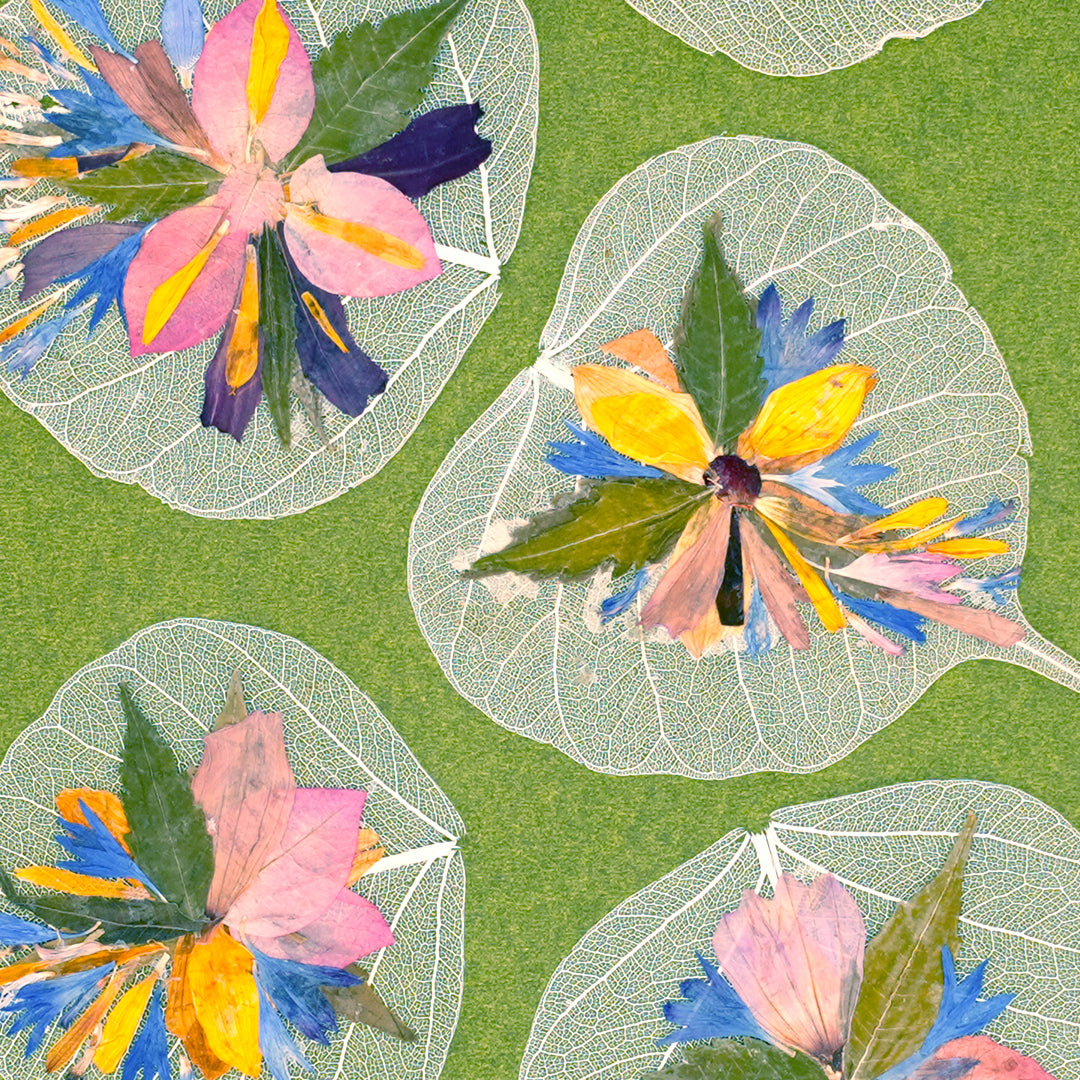 Peepal Native Miniature Folium - Set of 5