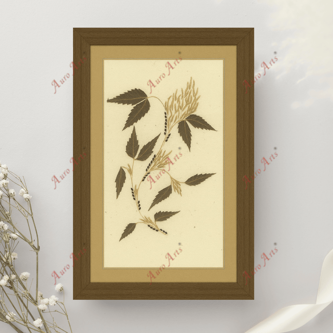 "FOLIAGE- The Leaf"