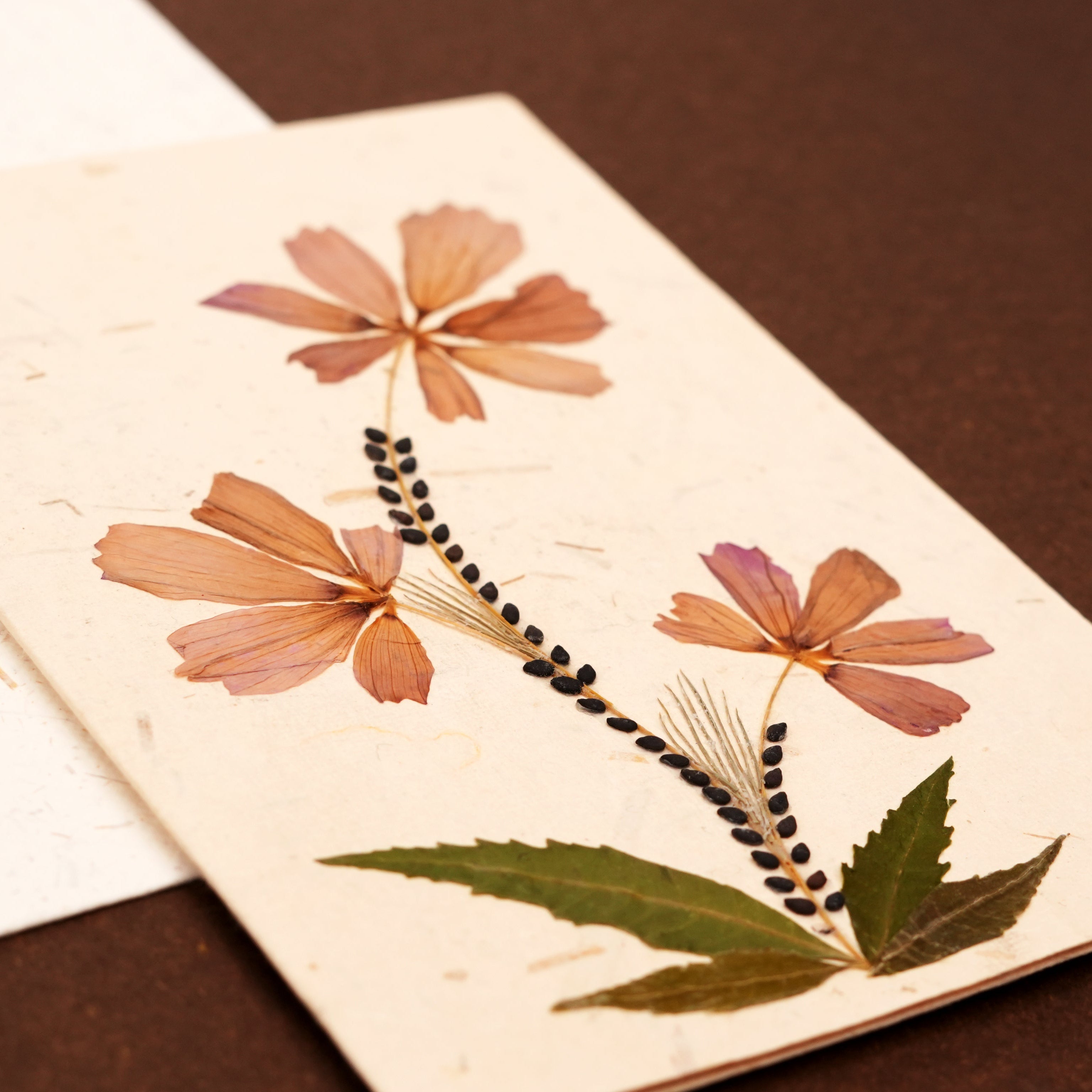 Triple Cosmos Card Set with Envelope