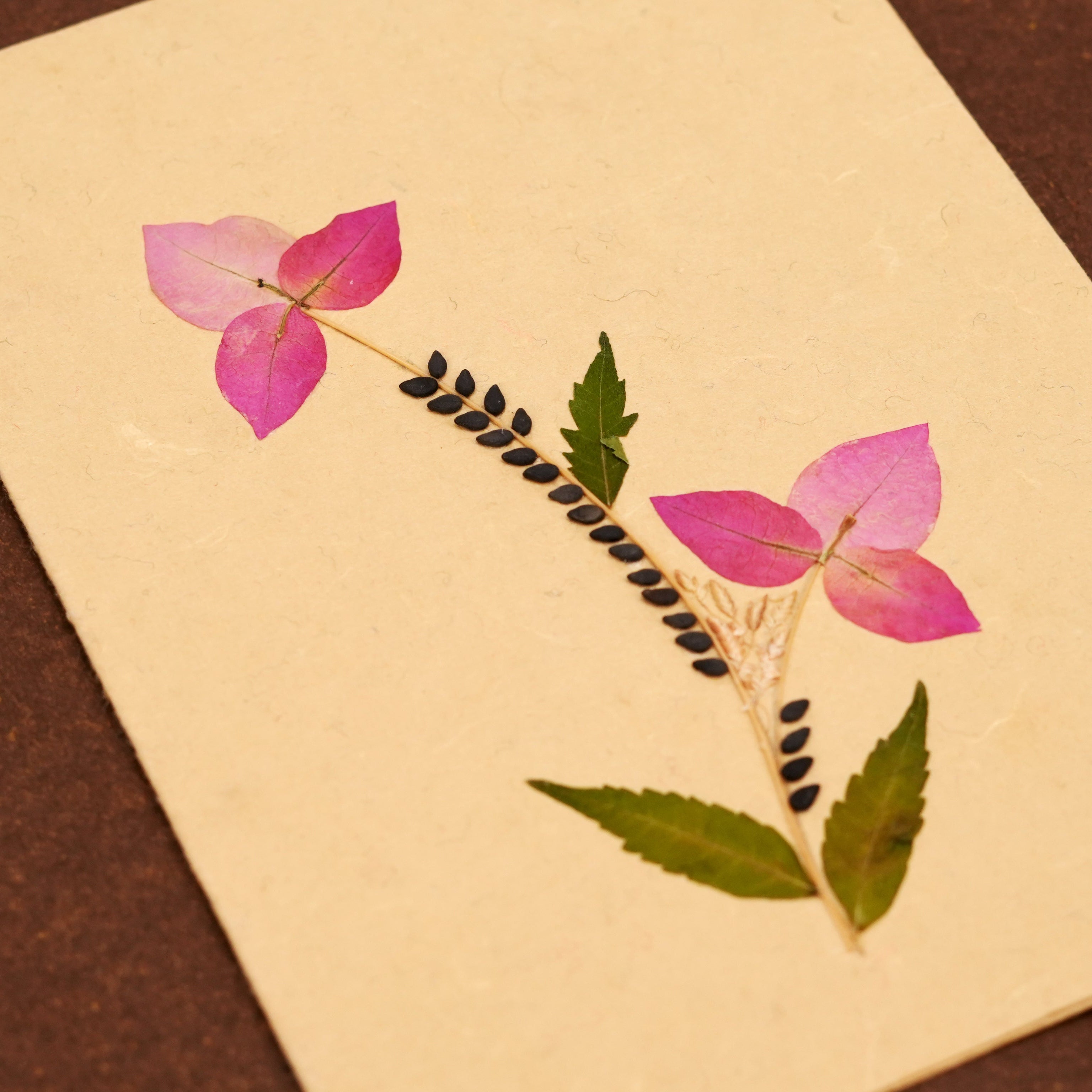 Bougainvillea Card