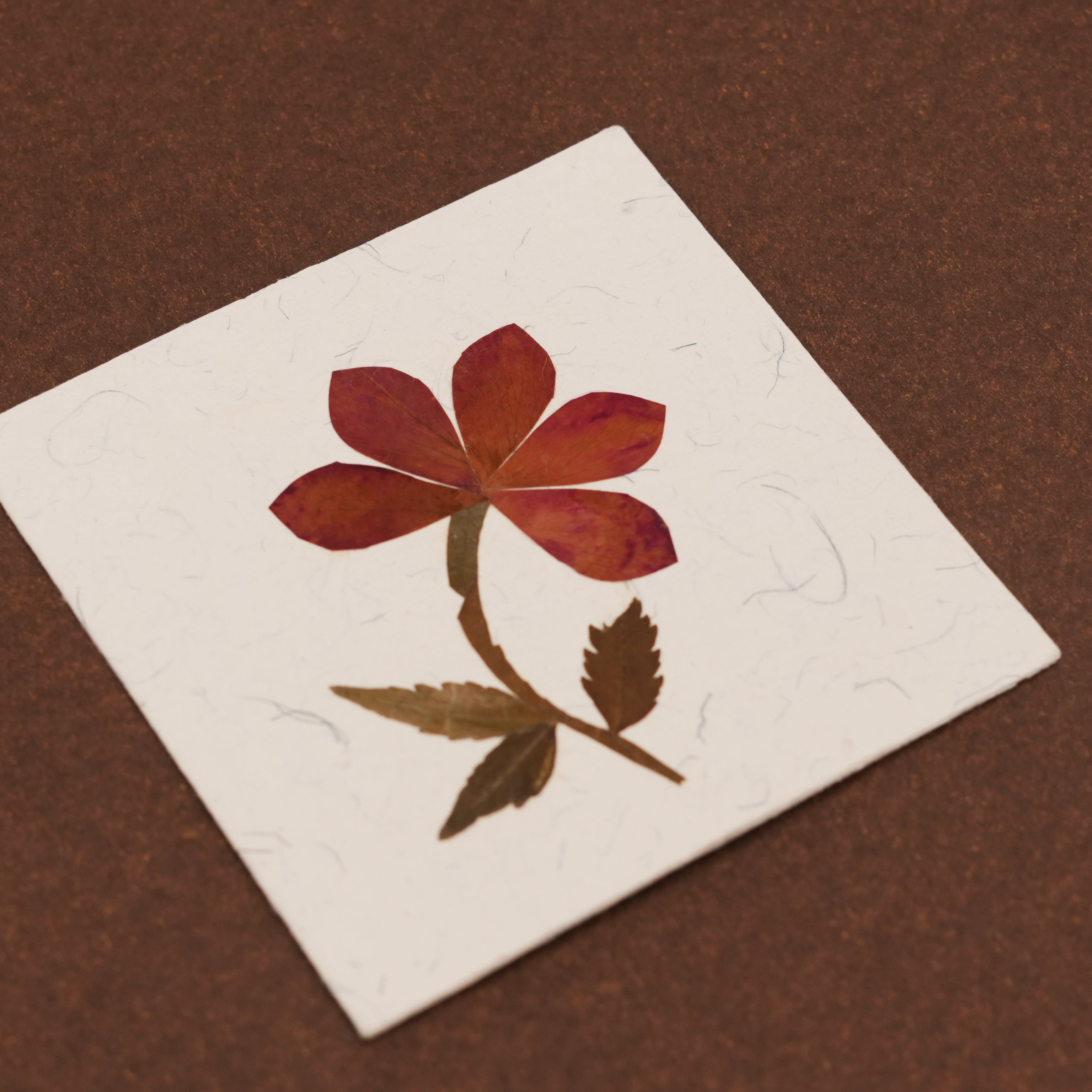 Square Tag with Rose Petals with Envelope - Set of 2