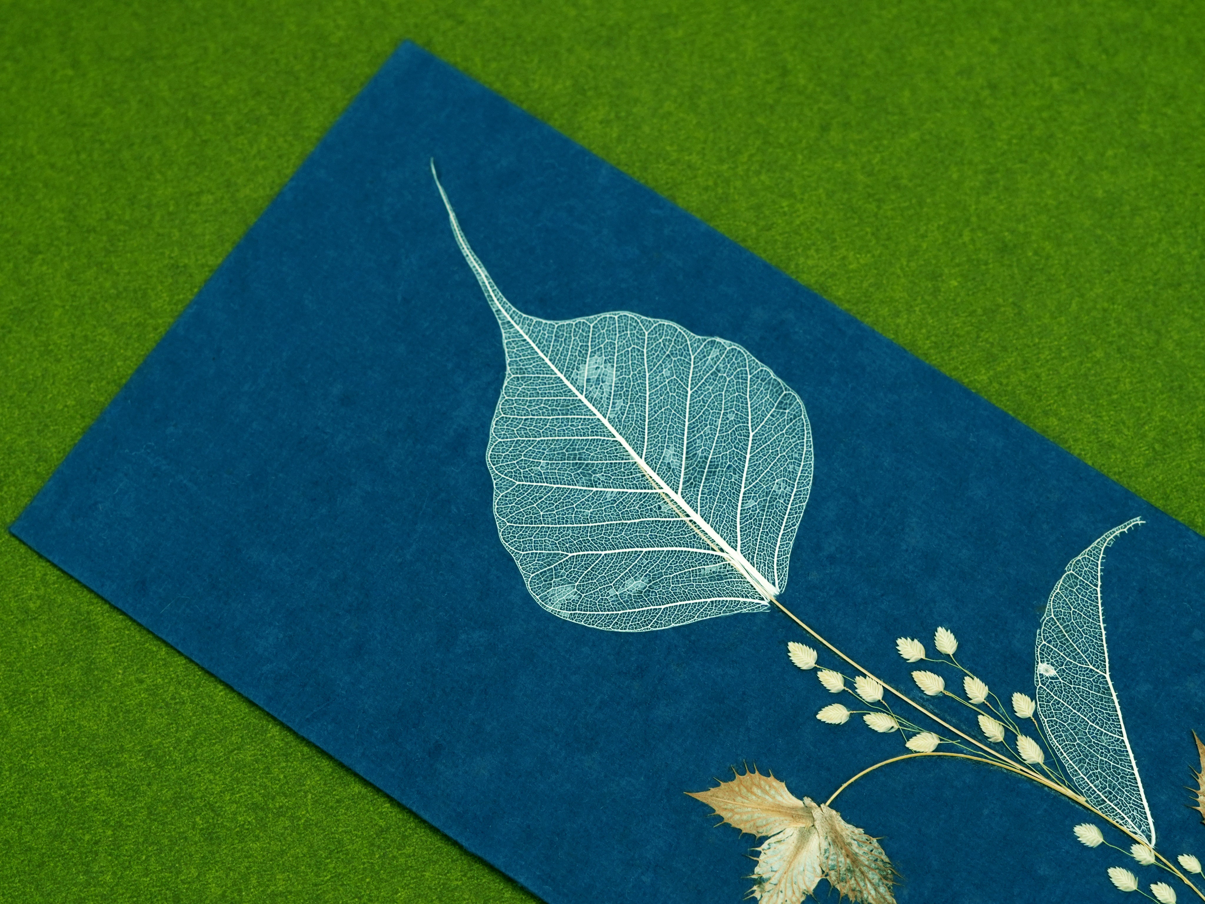 Folium Currency Envelopes - Set of 3