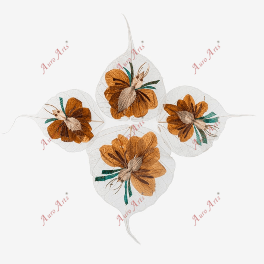"Beetles" Folium