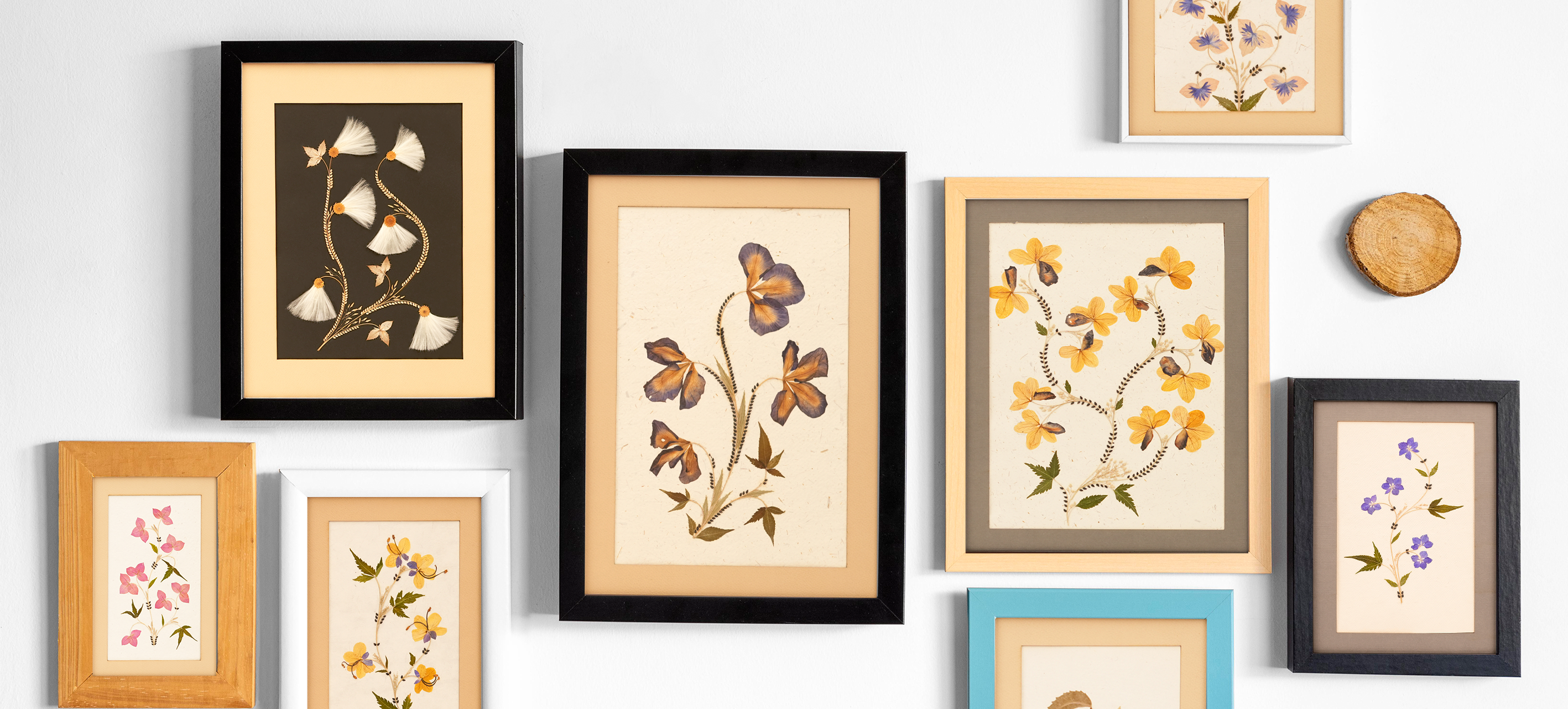 Botanical Frames