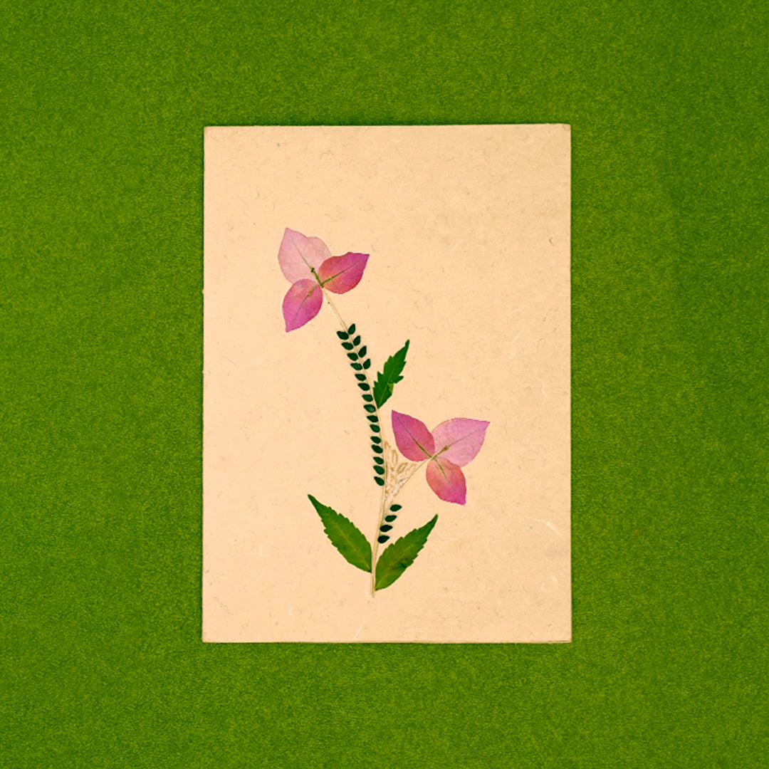 Bougainvillea Card