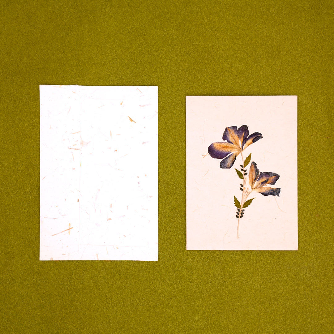 Aparajita Card with Envelope