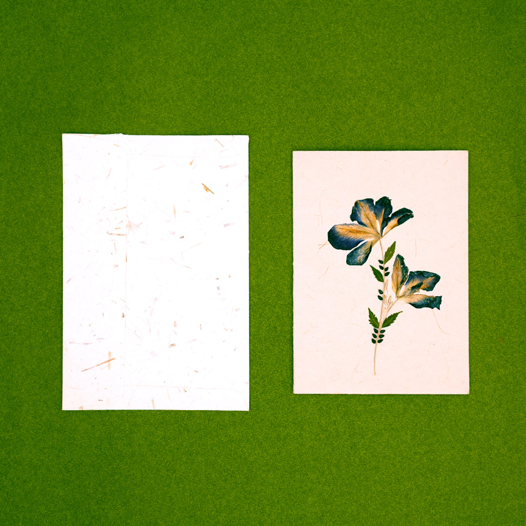 Aparajita Card with Envelope