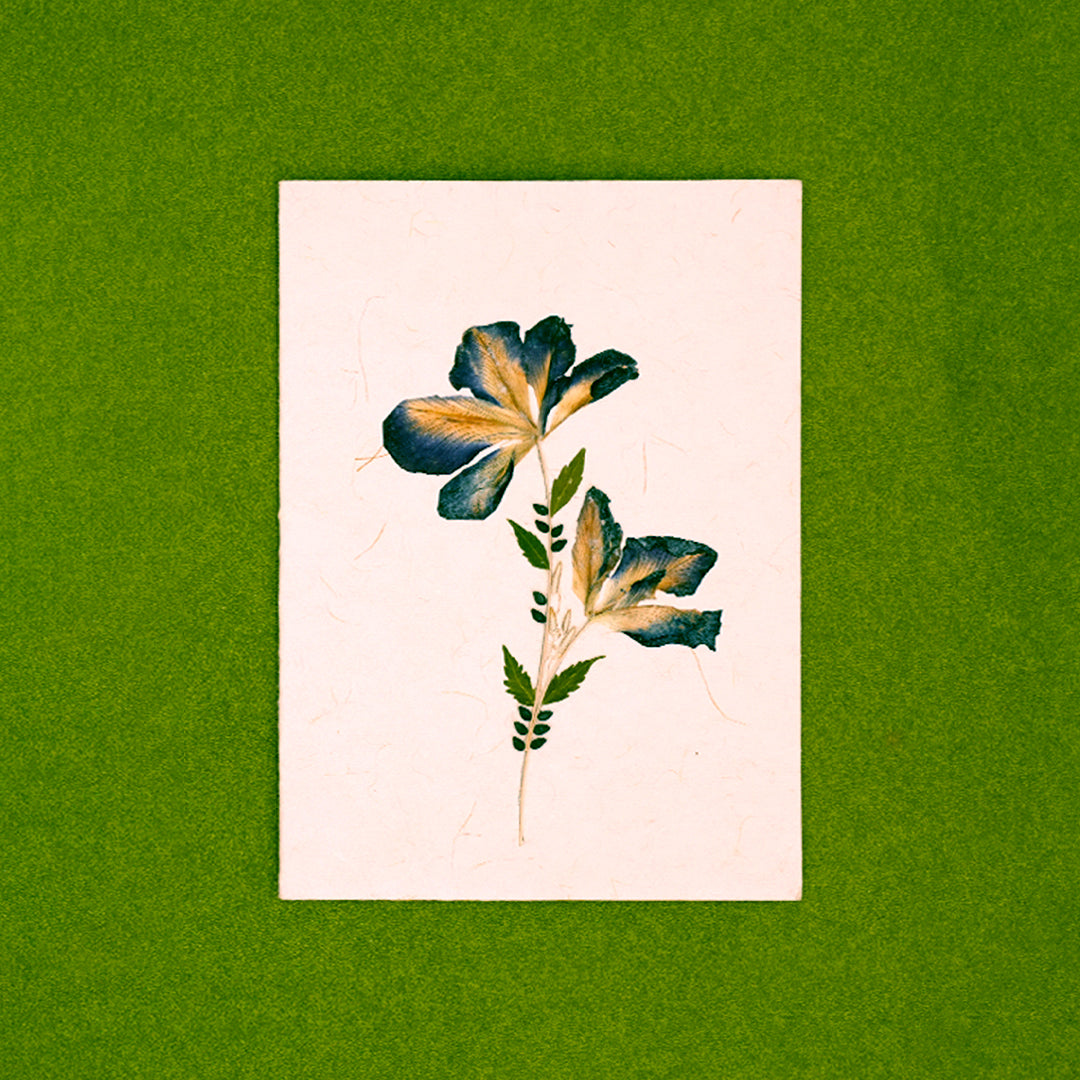 Aparajita Card with Envelope