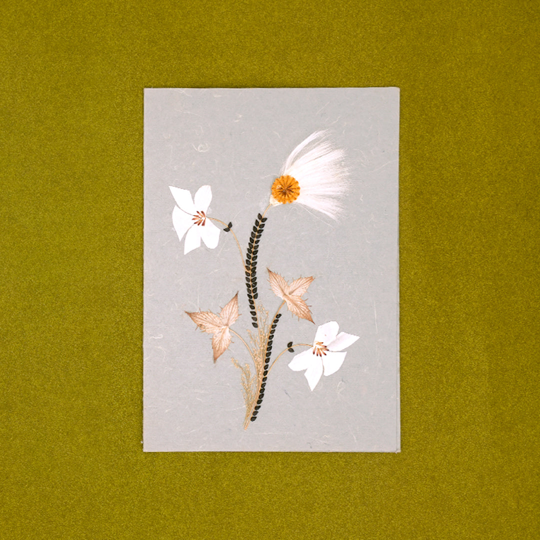 Weed Grey Card with Envelope