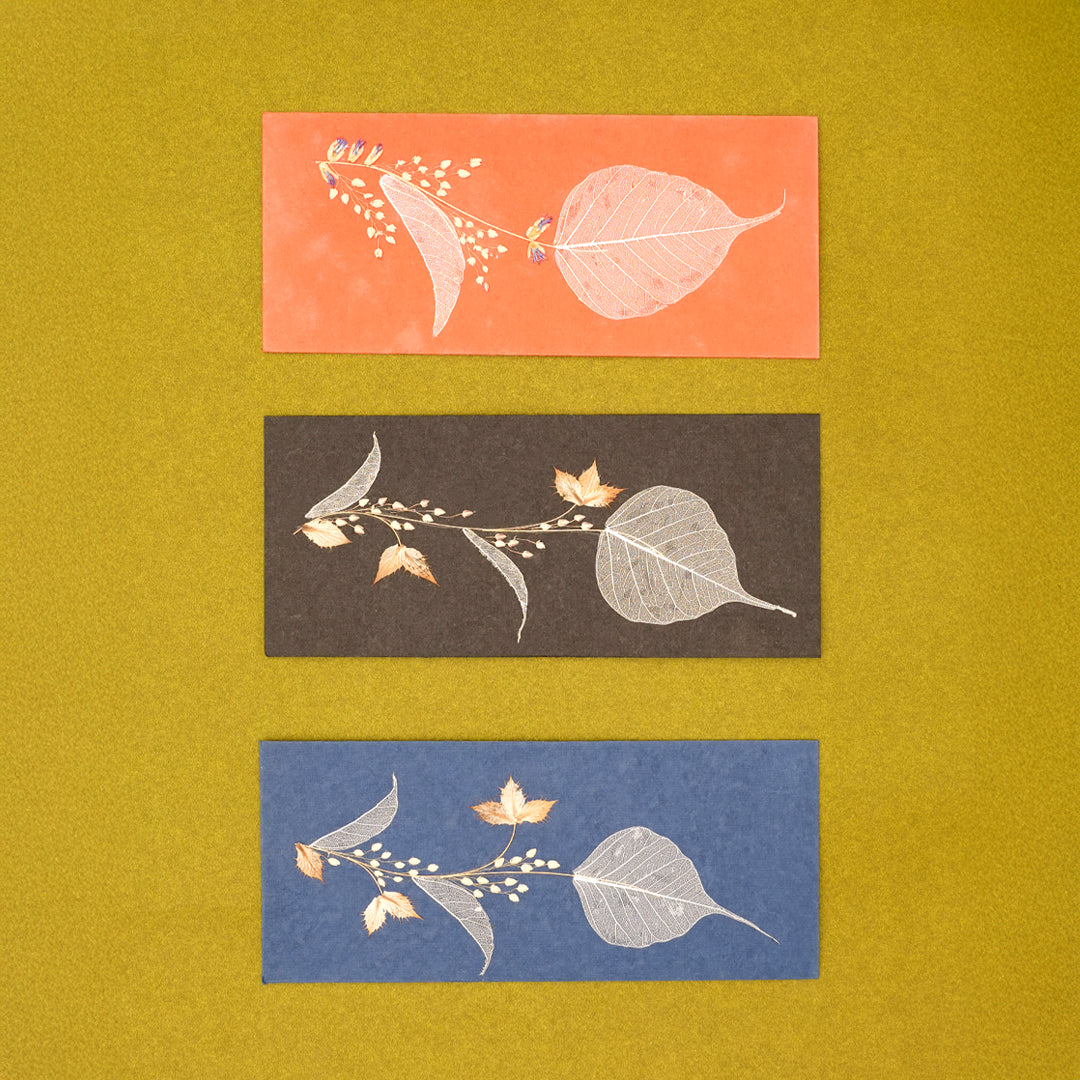 Folium Currency Envelopes - Set of 3