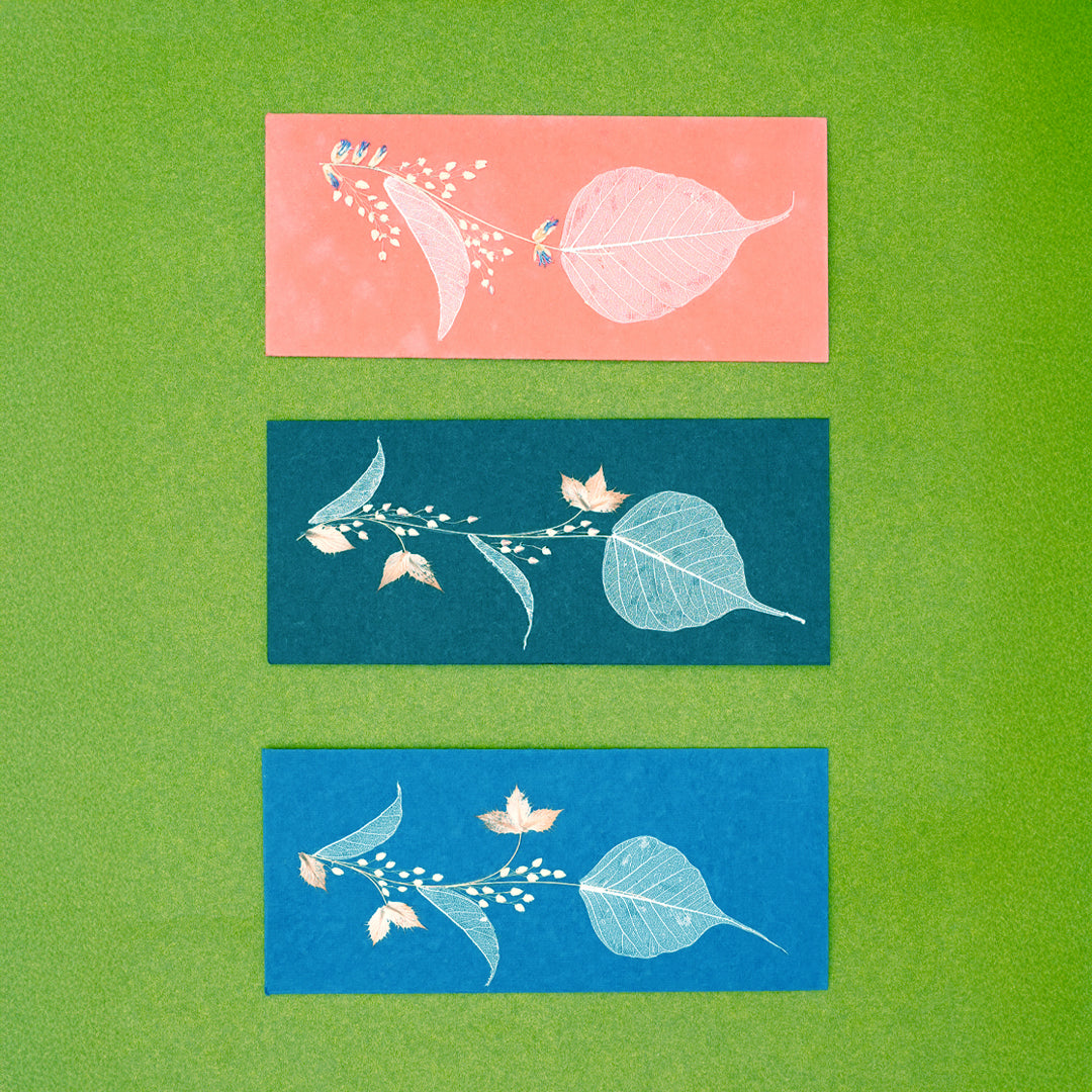 Folium Currency Envelopes - Set of 3