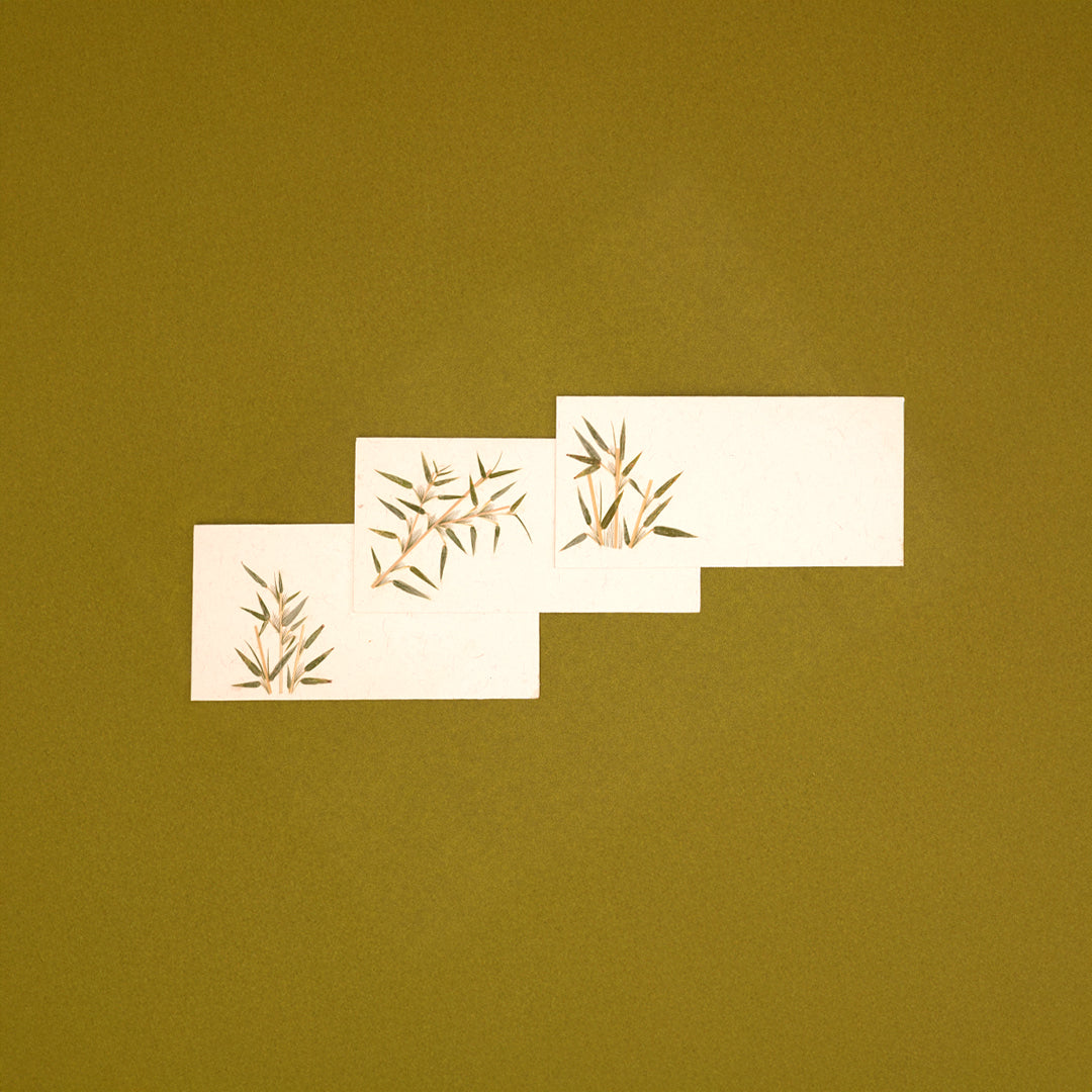 Bamboo Currency Envelopes - Set of 3