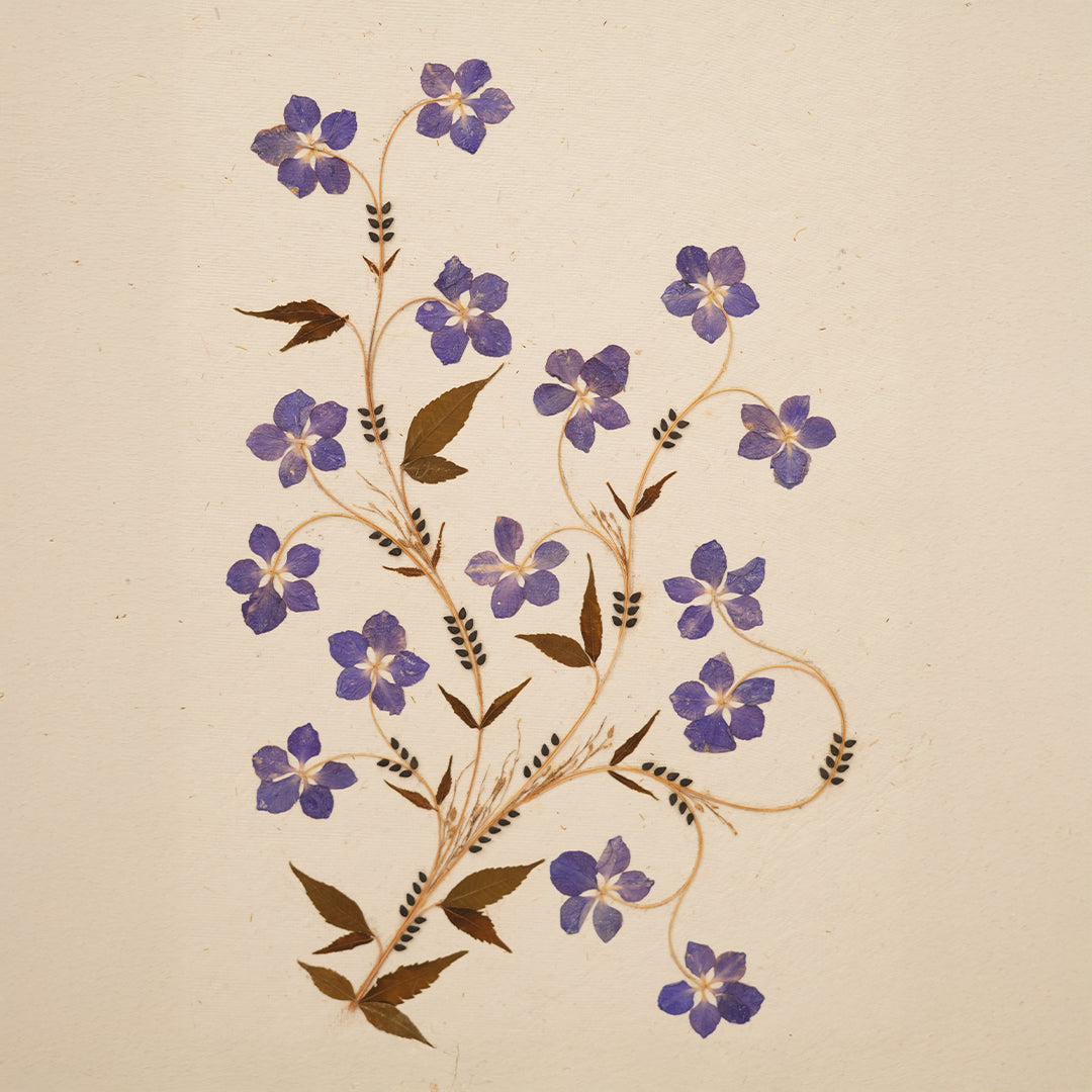 Flowers of Happiness