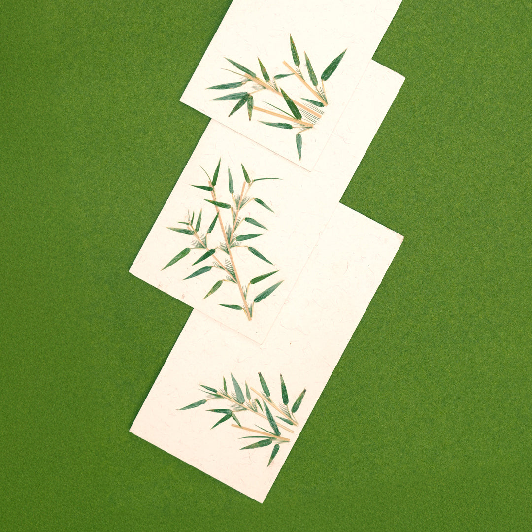 Bamboo Currency Envelopes - Set of 3