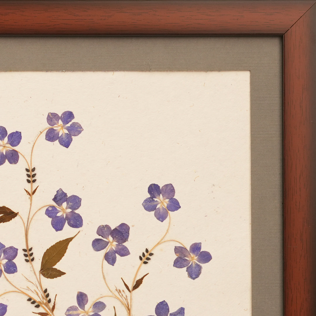 Flowers of Happiness