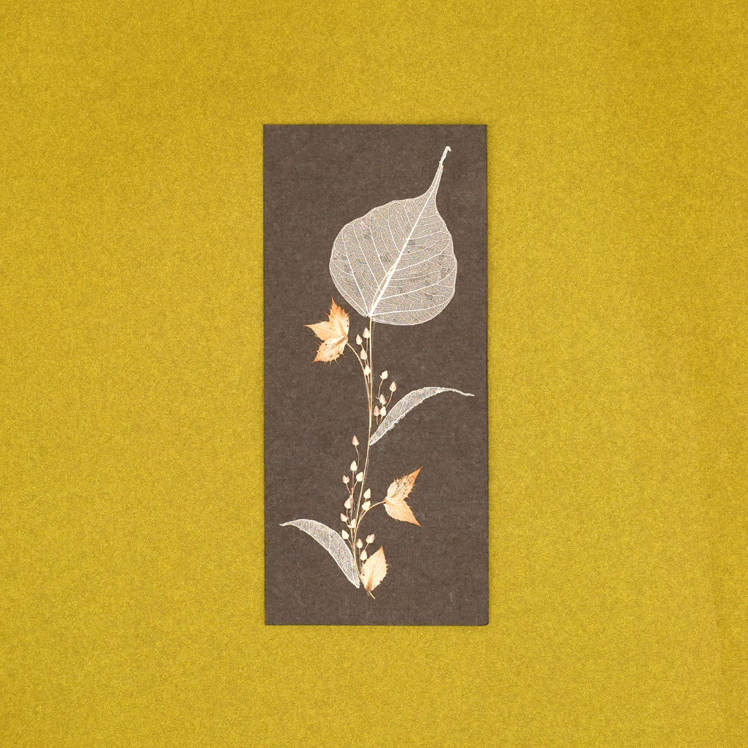 Folium Currency Envelopes - Set of 3