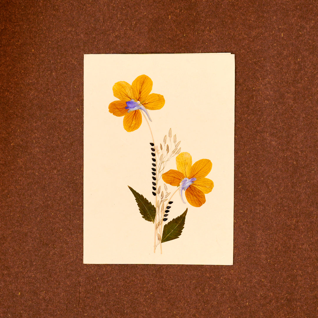 Amaltas Card with Envelope