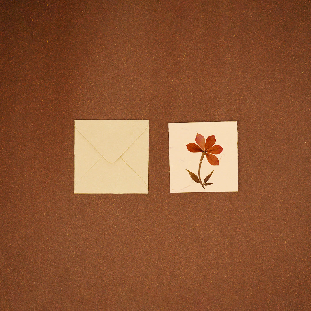 Square Tag with Rose Petals with Envelope - Set of 2
