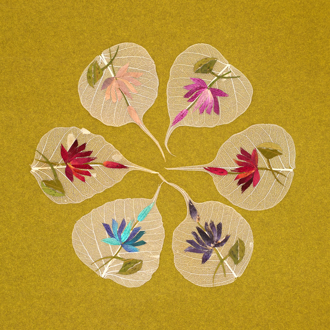 Sacred Fig Leaf – Lotus Series (Set of 6)