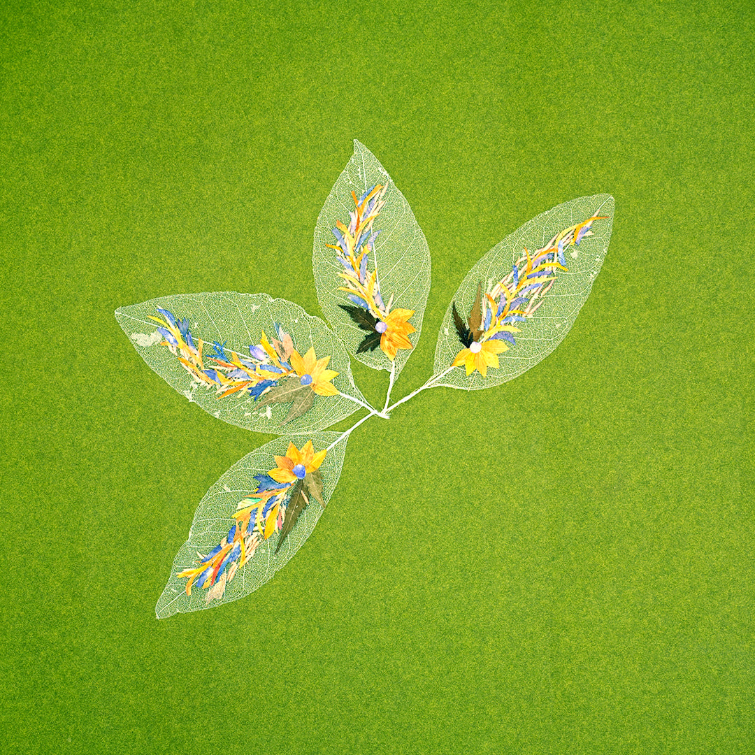 "Long leaf" Folium - Set of 2