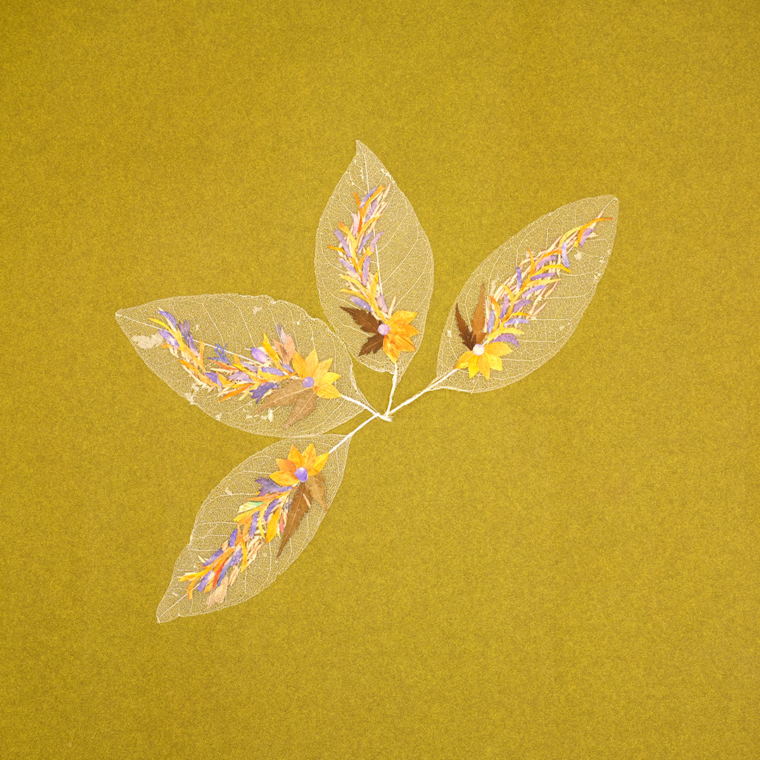 "Long leaf" Folium - Set of 2