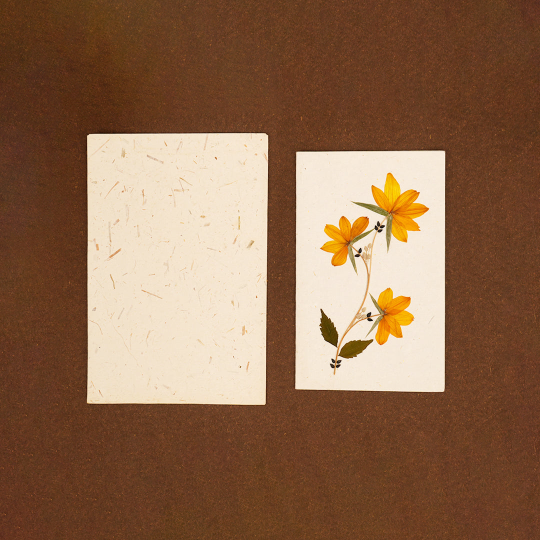 Amaltas Card