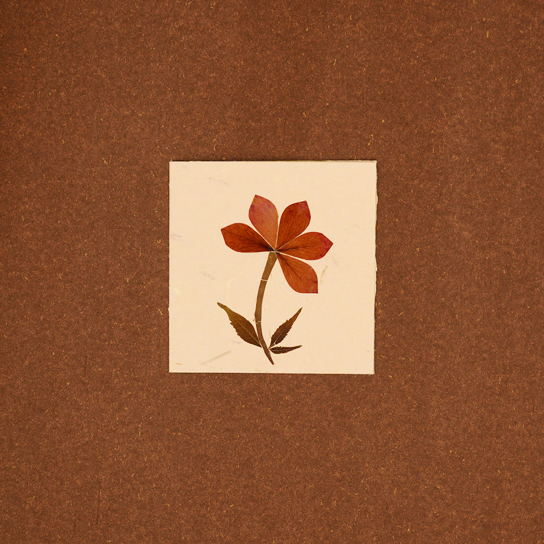 Square Tag with Rose Petals with Envelope - Set of 2