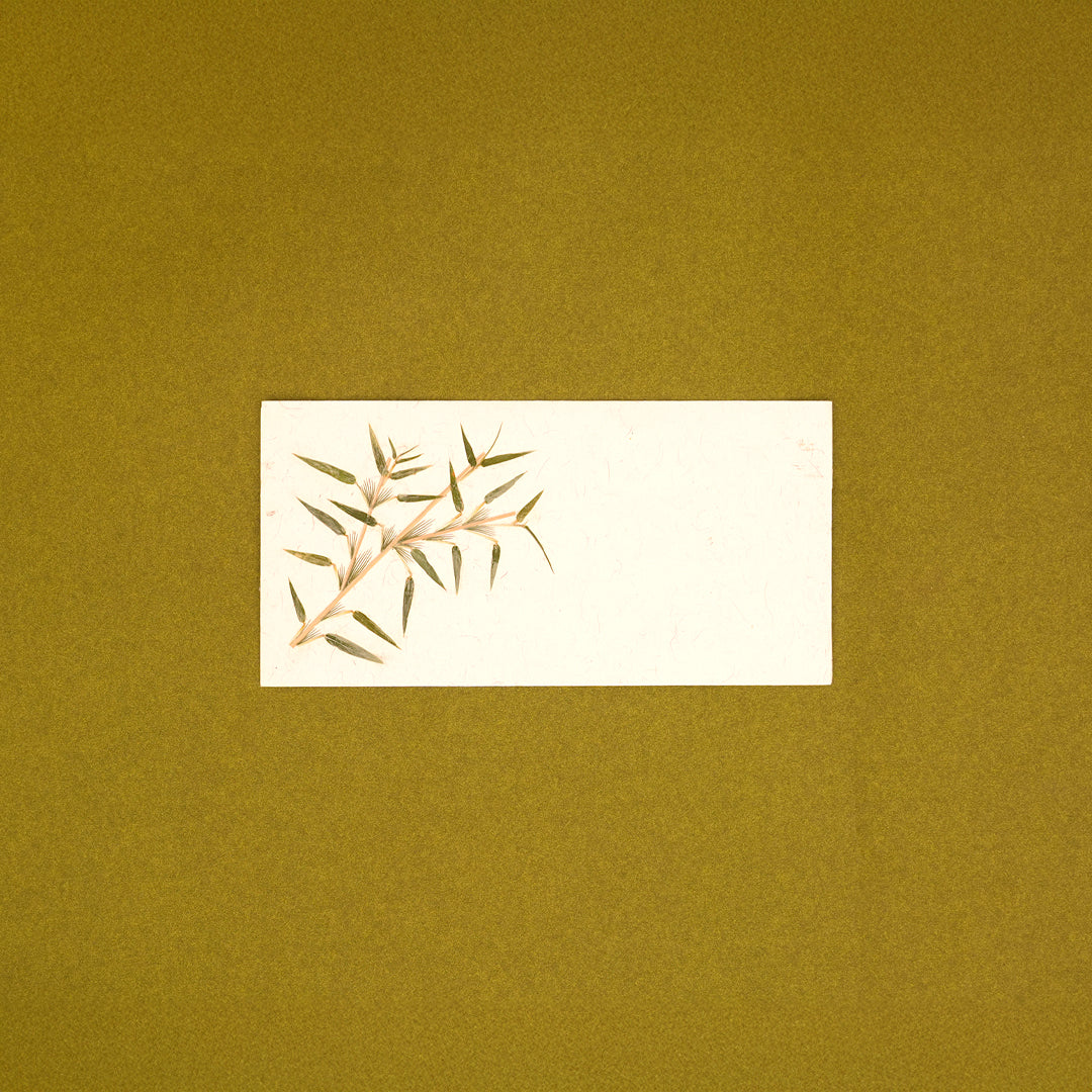 Bamboo Currency Envelopes - Set of 3