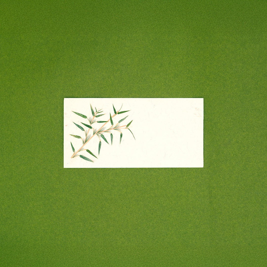 Bamboo Currency Envelopes - Set of 3