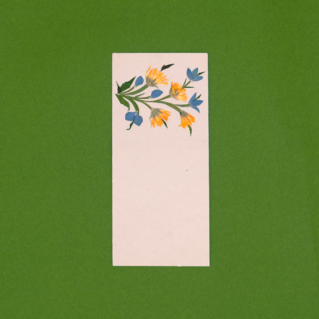 Calendula Currrency Envelopes - Set of 2