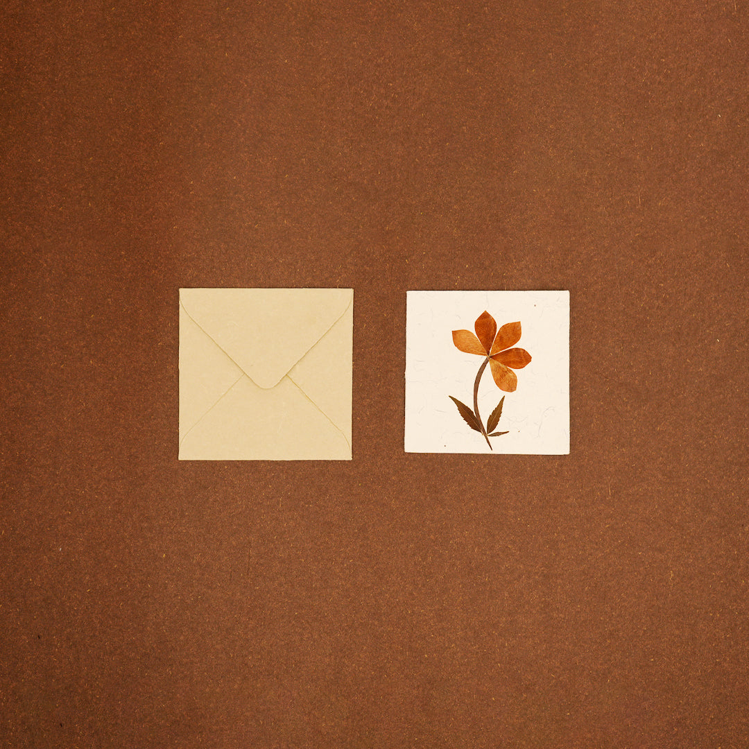 Square Tag with Rose Petals with Envelope - Set of 2