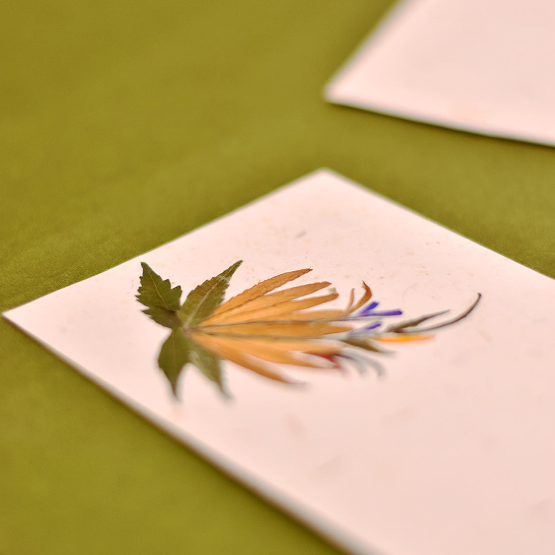 Zerbera Currency Envelope - Set of 2