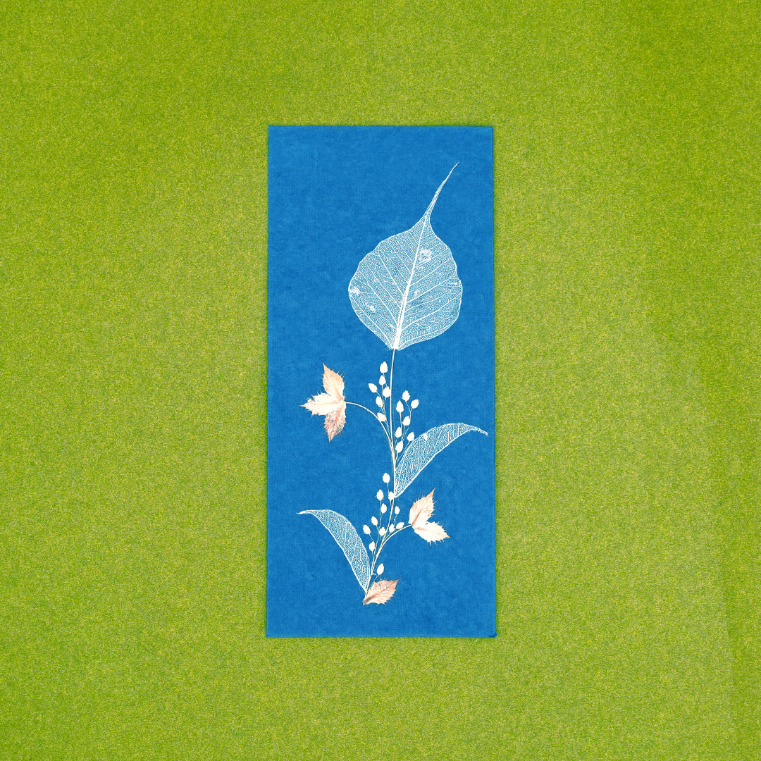 Folium Currency Envelopes - Set of 3